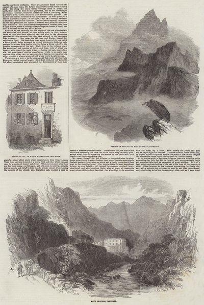 Pau en France - Samuel Read